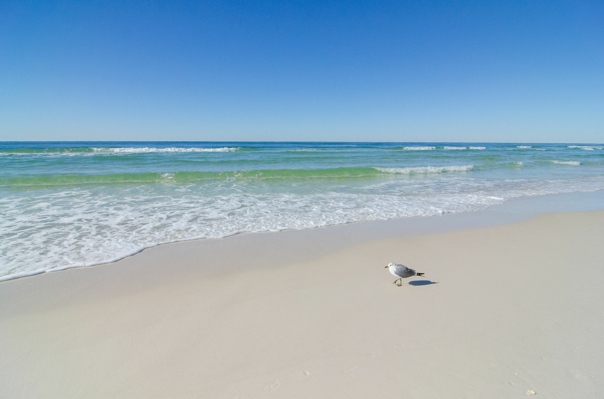 Sunswept By Panhandle Getaways Panama City Beach Eksteriør bilde